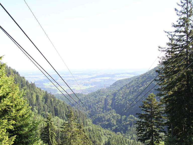 Die Seile einer Seilbahn laufen weit in einer grünen Waldlandschaft im Alpenvorland entlang