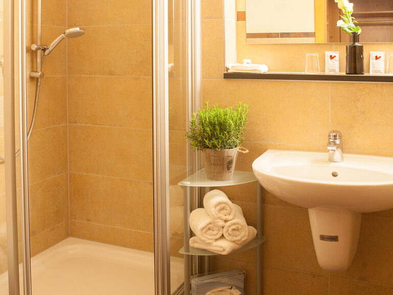 Ein Badezimmer im Happinger Hof in Oberbayern mit Dusche und Waschbecken.