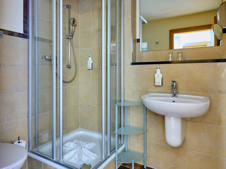 Ein Badezimmer im Happinger Hof mit großer Dusche sowie Waschbecken und Fliesenwänden