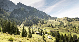 Eine grüne Alpengebirgslandschaft mit mehreren Bäumen und Bergen im Hintergrund