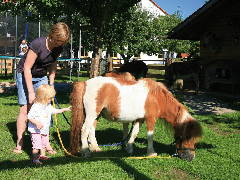 Kind streichelt Pony im Streichelhof vom 3-Sterne-S-Hotel und Landgasthof Happinger Hof beim Chiemsee Kleines Mädchen streichelt geflecktes Pony, Mutter steht lächelnd daneben