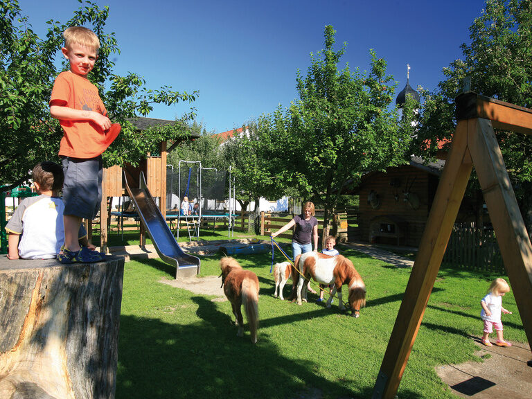 Kinderspielplatz und -streichelzoo mit Ponys, Rutsche, Trampolin und Schaukeln