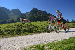 Zwei Radfahrer auf einer Radltour durch das Alpenvorland mit Bergen im Hintergrund